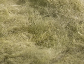 ����������� ���� Rockwool ������� ����� 1000�600�50 ��-3