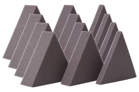 ������������ ������������ ������ Echoton Trigon-1