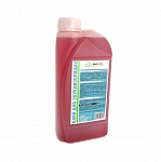 ���� ��� ������������� ���������, 1 ����